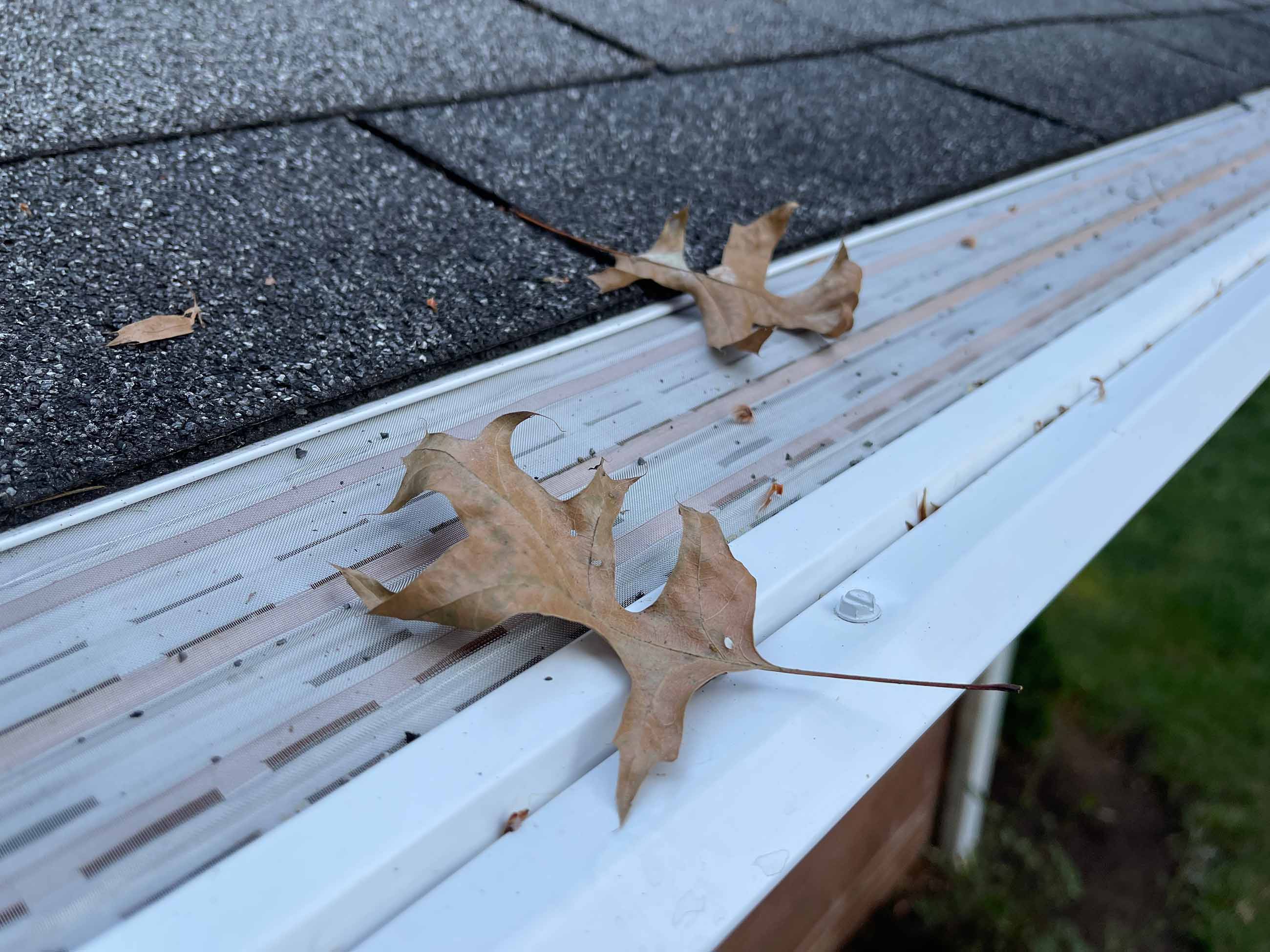 Mastershield micro mesh gutter guards with 2 brown oak leaves gently sitting on top of the screen